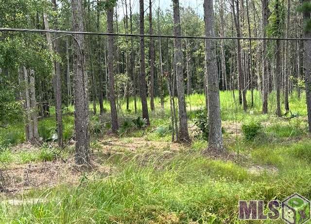 Property at 14373 Springfield Rd, Walker, LA 70785