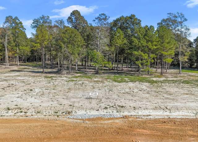 Property at N-2-D-2 Little Azalea Dr, Zachary, LA 70791