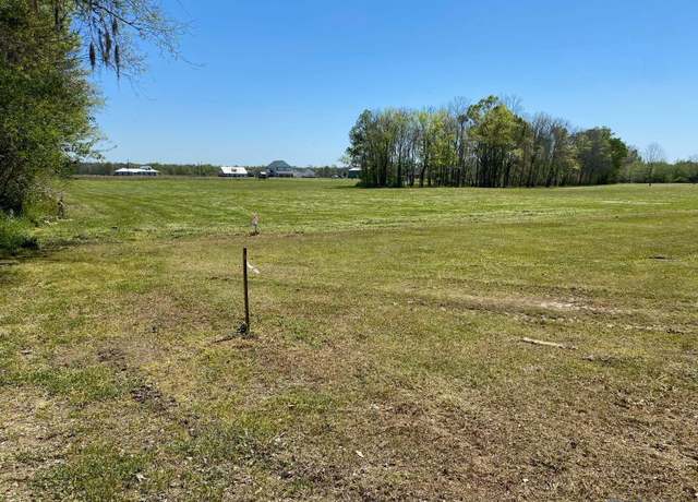 Property at 1096 Wilkinson Ln, Port Allen, LA 70767