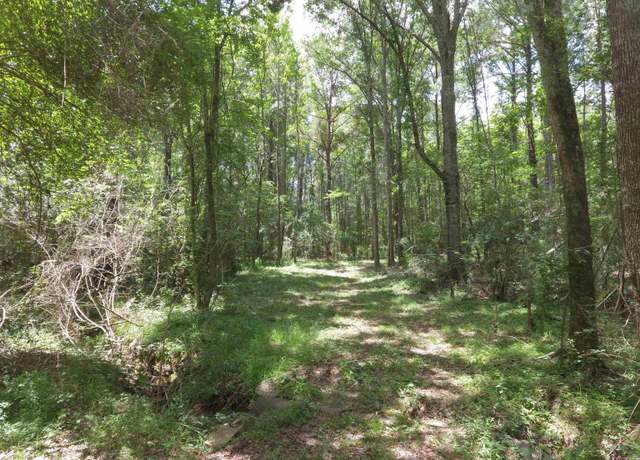 Property at A-4 La Hwy 966, St Francisville, LA 70775
