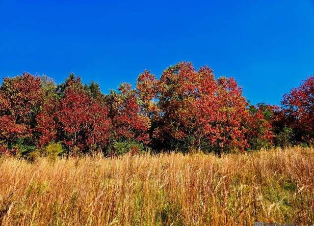 Property at 00 J L Robbins Rd, Carson, MS 39427