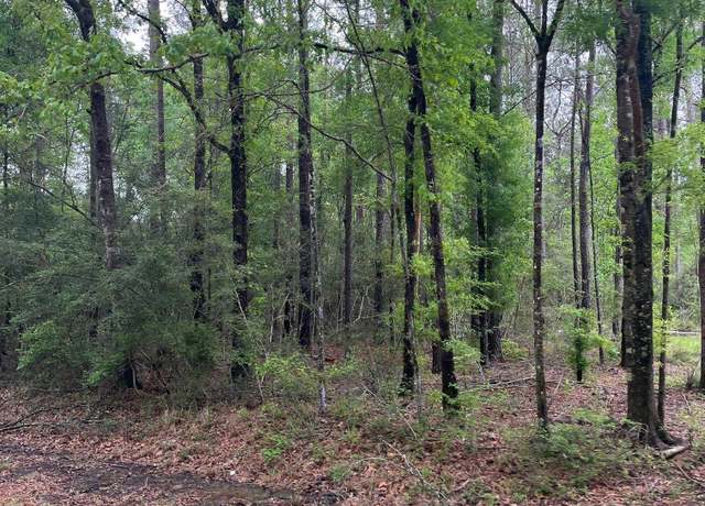 Property at TBD Tract 5 Pride-baywood Rd, Pride, LA 70770