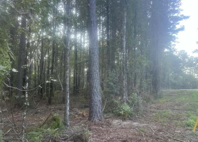 Property at TBD-B2 -B La Hwy 10, Clinton, LA 70722