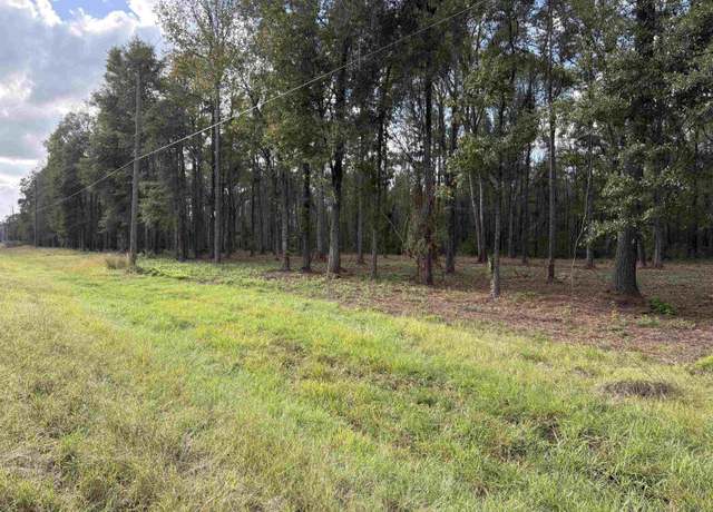 Property at Tract SF-9 La Hwy 16, Denham Springs, LA 70706