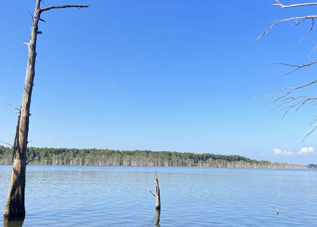 Property at TBD Lakeshore Rd, Woodville, MS 39669