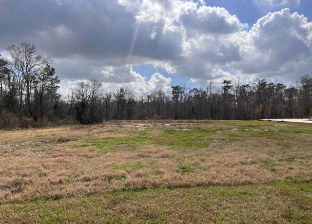Property at 15475 Molly Grace Dr, Prairieville, LA 70769