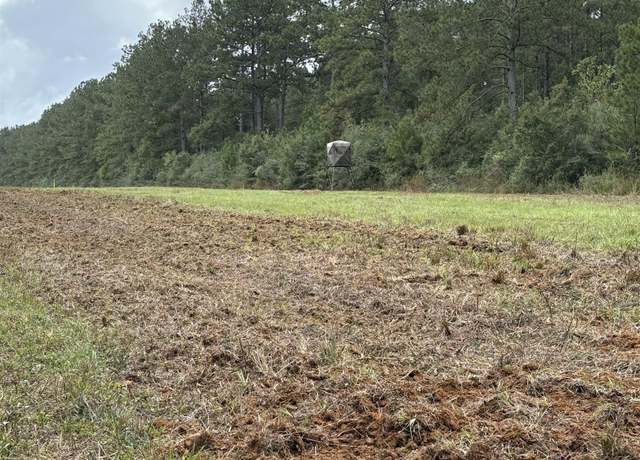Property at TBD Aunt Margies Rd, Greensburg, LA 70441