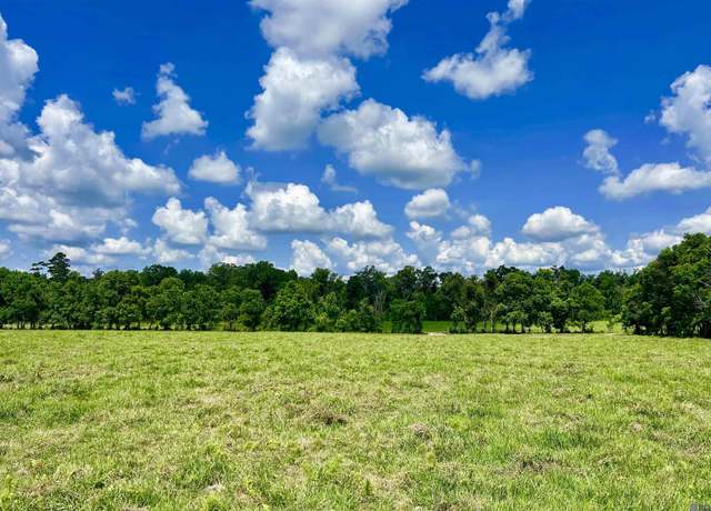 Property at 02 Carrier Rd, Pine Grove, LA 70453