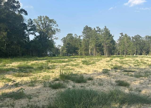 Property at 19315 Pampas Dr, Livingston, LA 70754