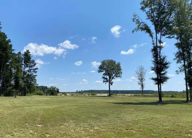 Property at LOT 19 Nesom Rd, Denham Springs, LA 70706
