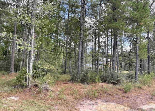 Property at 25907 Clyde Blount Rd, Livingston, LA 70785