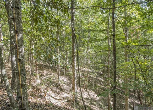 Property at Tract A Rogers Rd, St Francisville, LA 70775