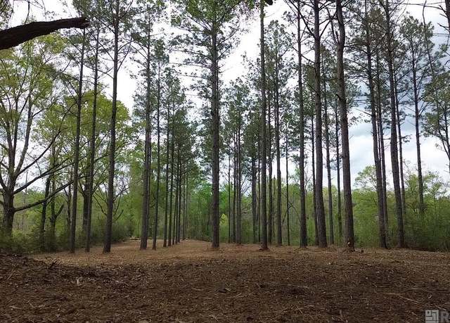 Property at 68434 Monroe Stevens Rd, Kentwood, LA 70444