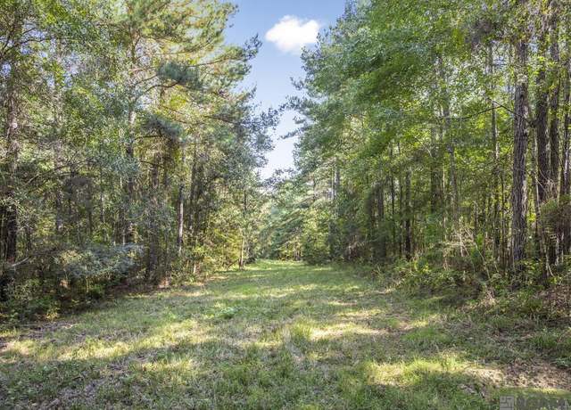 Property at Tract C Peterson Rd, St Francisville, LA 70775