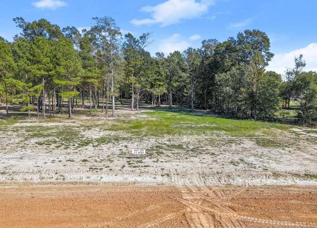 Property at N-2-D-1-B Little Azalea Dr, Zachary, LA 70791
