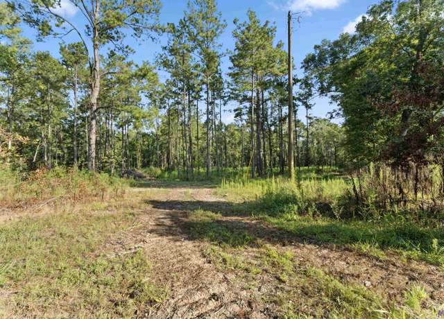 Property at Tract Y1A1A1A5 Nesom Rd, Clinton, LA 70722