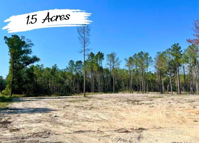 Property at 29581 George White Rd, Holden, LA 70744