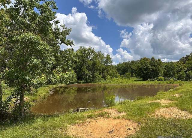 Property at LOY Y-3 Old Norwood Wilson Rd, Wilson, LA 70789