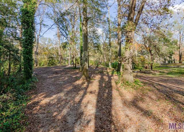 Property at 36608 Swamp Rd, Prairieville, LA 70769