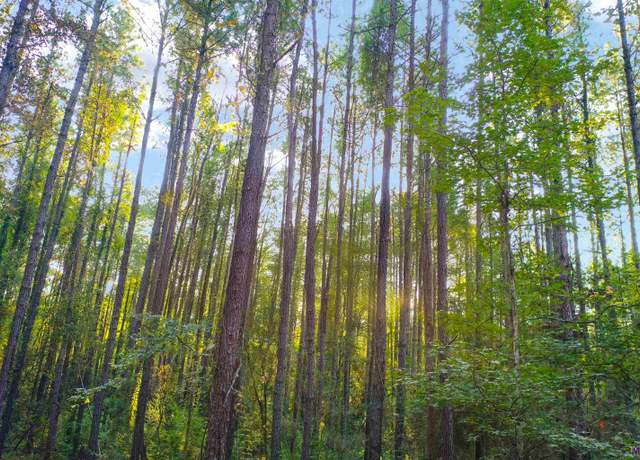 Property at Lot 11 & 12 La Hwy 449, Pine Grove, LA 70453
