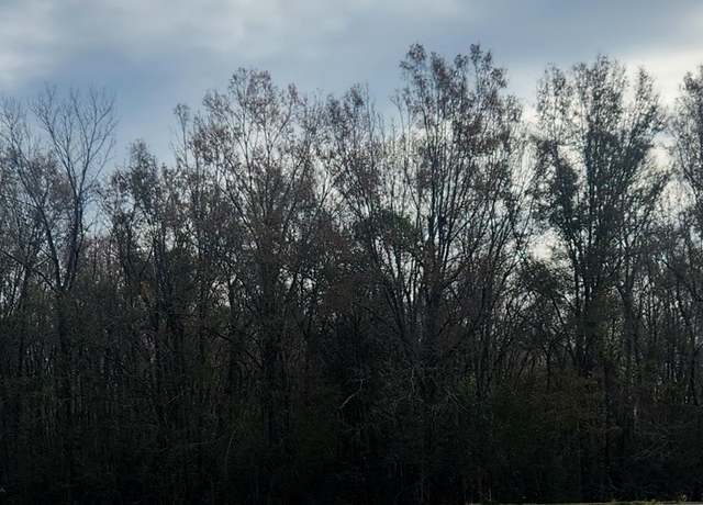 Property at tbd Main St, Sorrento, LA 70778