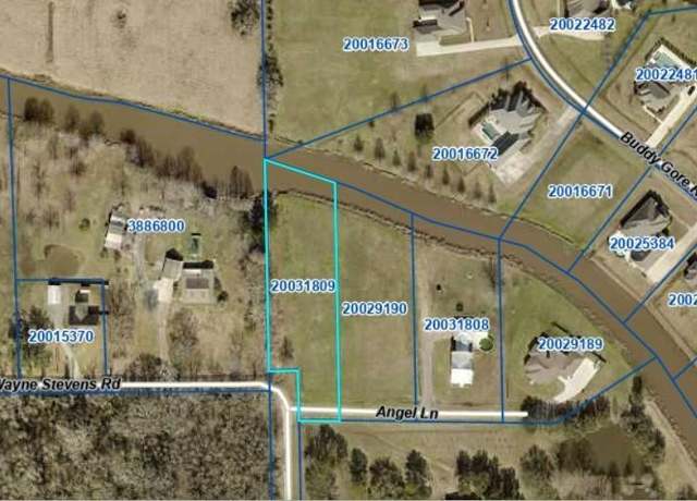 Property at 43306 Angel Ln, Gonzales, LA 70737