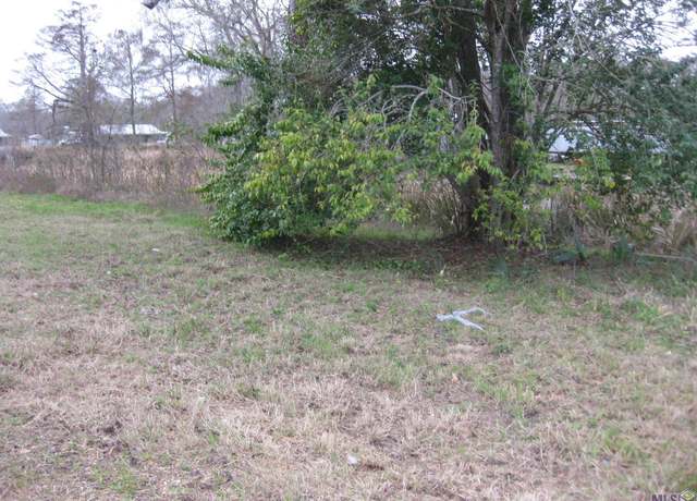 Property at Lot # 2A & 2B La Hwy 22, Maurepas, LA 70449