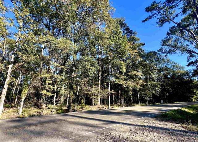 Property at TBD Greenwell Springs Rd, Greenwell Springs, LA 70739