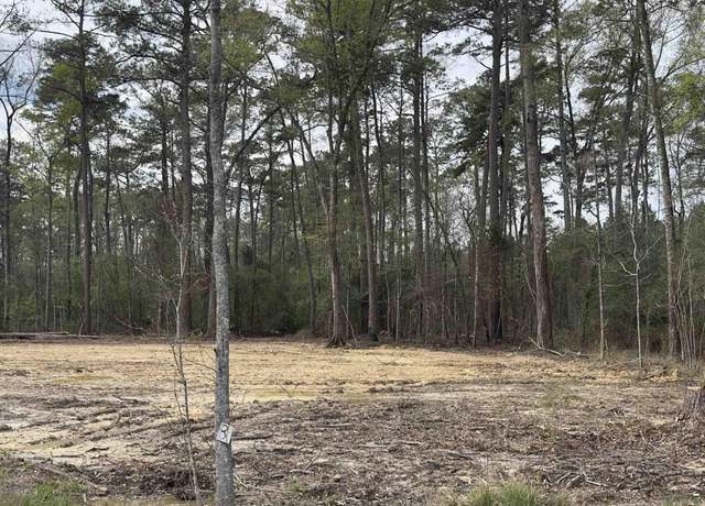 Property at Lot B3 Reinninger Rd, Denham Springs, LA 70706