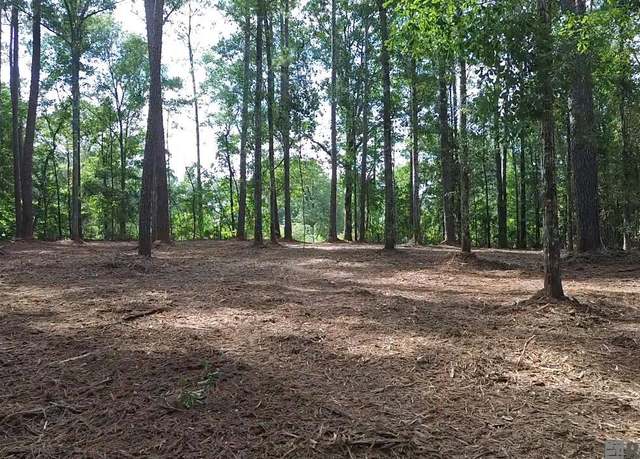 Property at TBD La Hwy 1058, Roseland, LA 70456