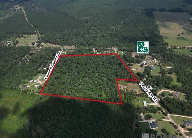 Property at TBD Pea Ridge Rd, Albany, LA 70711