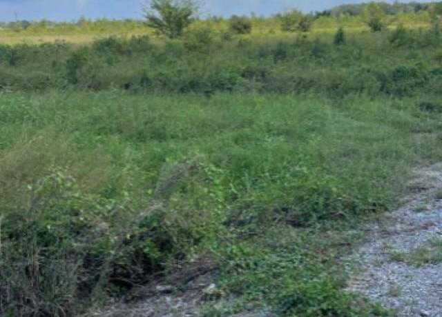 Property at 479 Highway 317, Centerville, LA 70522