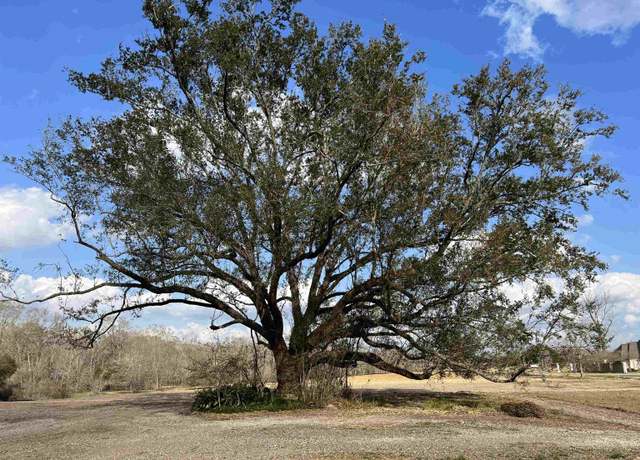 Property at 38186 Oakland Dr, Prairieville, LA 70769