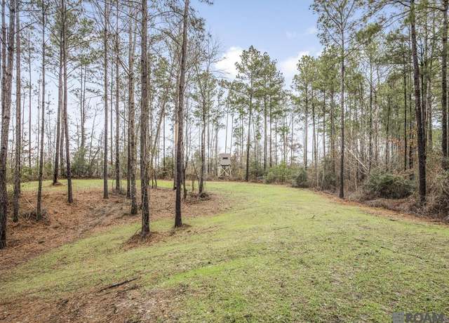 Property at 000 Rogers Rd, St Francisville, LA 70775