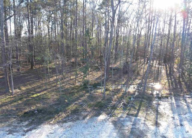 Property at Lot B8 Reinninger Rd, Denham Springs, LA 70706