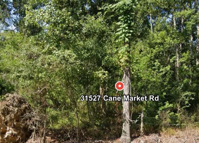 Property at 31527 Cane Market Rd, Walker, LA 70785