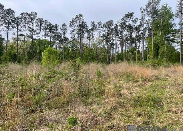 Property at Monica Ln, Hammond, LA 70403