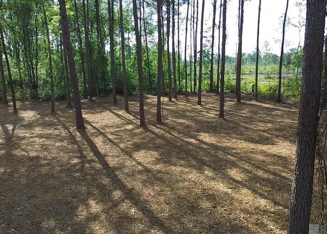 Property at TBD Vernon School Rd, Mt Hermon, LA 70450