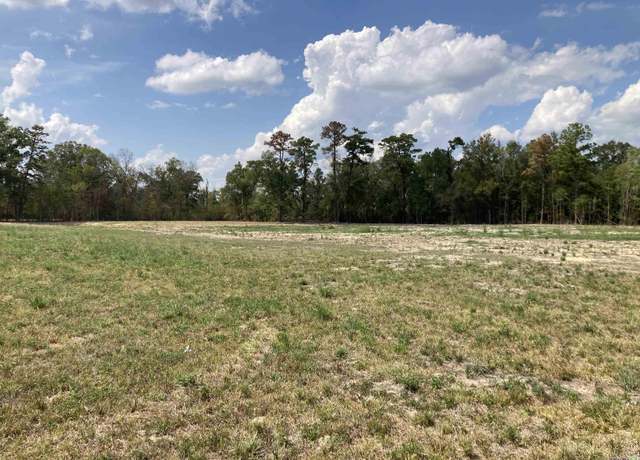Property at 17164 La Hwy 933, Prairieville, LA 70769