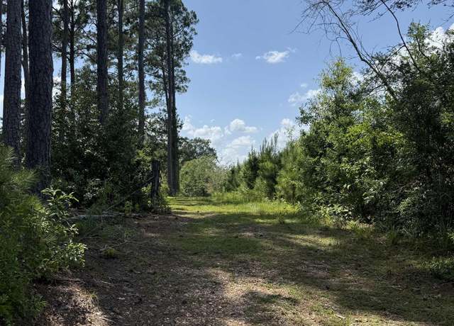 Property at 77151 N River Rd, Kentwood, LA 70444