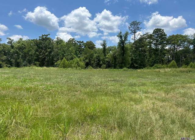 Property at TBD Pintail St, Springfield, LA 70462