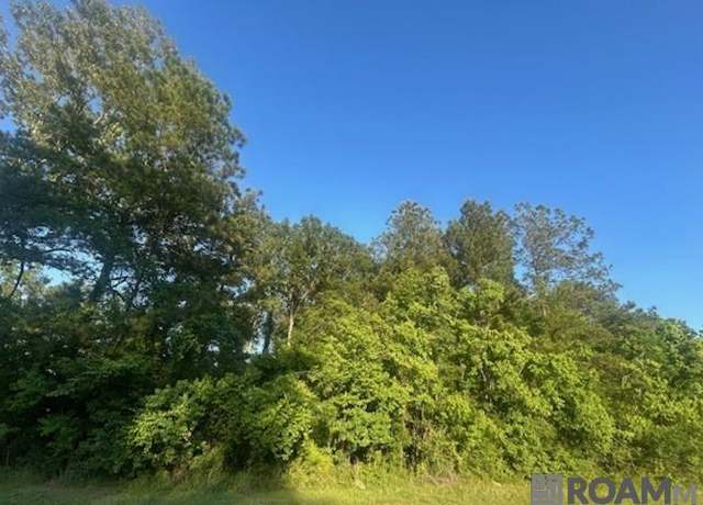 Property at Lot B-4 Perrilloux Rd, Livingston, LA 70754