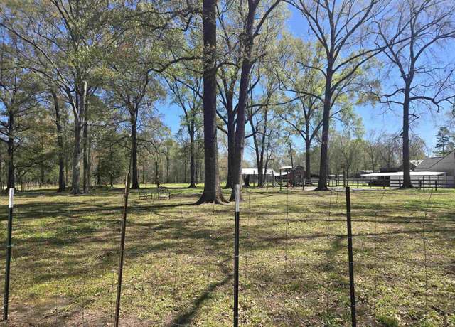 Property at 7878 Droze Rd, Greenwell Springs, LA 70739
