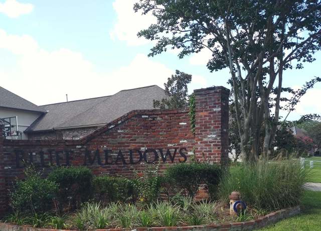 Property at 36181 Bluff Meadows Dr, Prairieville, LA 70769