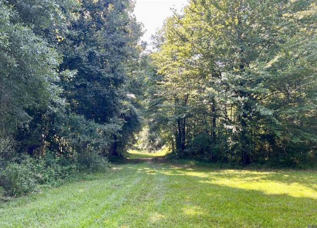 Property at 05 Hwy 1062, Loranger, LA 70466