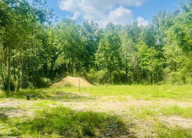 Property at 9756 Plank Rd, Clinton, LA 70722