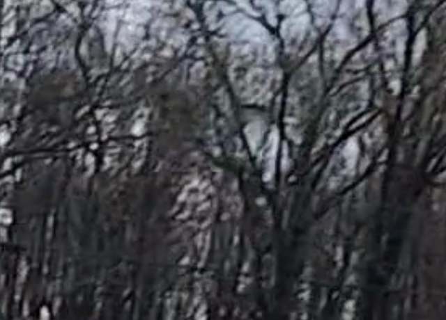 Property at Lot 65 Odessa Dr, Baton Rouge, LA 70811