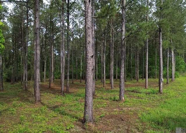 Property at Tract D Monroe Stevens Rd, Kentwood, LA 70444