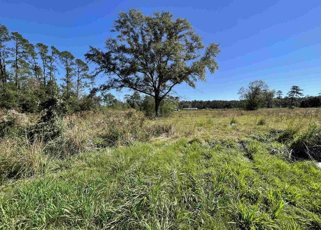 Property at 20272 Lynda Dr, Springfield, LA 70462