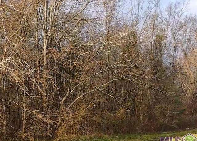 Property at Lot 51-A&B El Scott Ave, Baton Rouge, LA 70811